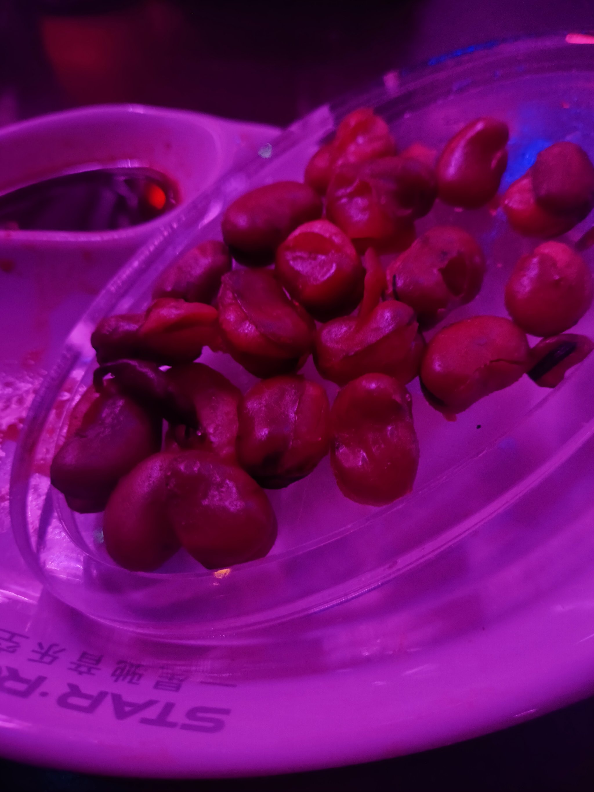 呼伦贝尔商务ktv体验商务ktv好吗-海拉尔区ktv预订